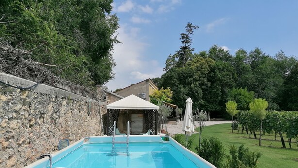 A rectangular swimming pool with a ladder, surrounded by a stone wall and lush greenery.
