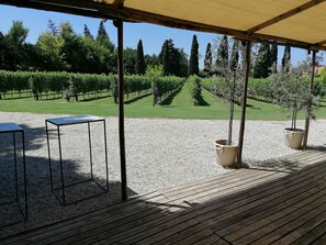 Terrain de l’hébergement 