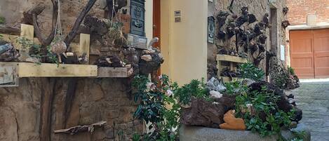 المنطقة المحيطة بالمنشأة