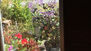 Vista desde una ventana a un jardín con diversas macetas y flores.