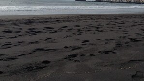 Een strand met voetafdrukken in het zand en een schip in de verte.