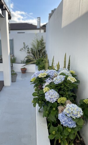 Maison de vacances sur la plage (AL 904)