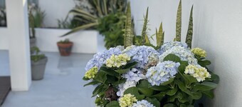 Beach vacation house (AL 904)