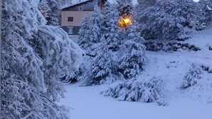 A snow-covered landscape with trees and a building in the background.
