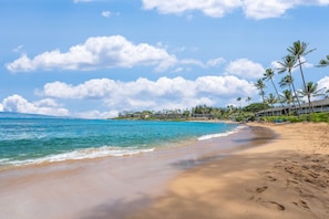 Plage, chaises longues, serviettes de plage