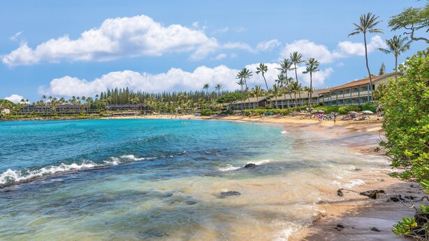 A beach resort with clear turquoise waters, palm trees, and a building with a beach view. - Beautiful Condo w AC Steps to Napili Bay-Napili Shores E240 (Lahaina)