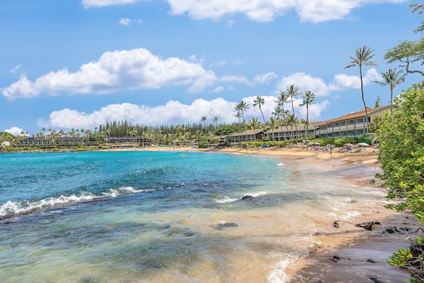 A beach resort with clear turquoise waters, palm trees, and a building with a beach view.