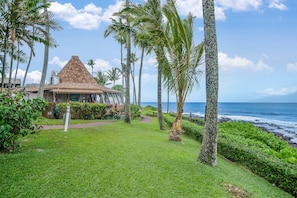 A house with a thatched roof, surrounded by palm trees and a view of the ocean.