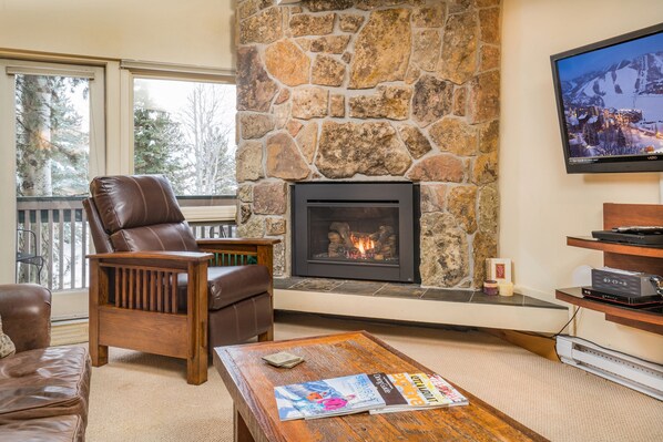 TV, fireplace, DVD player, books