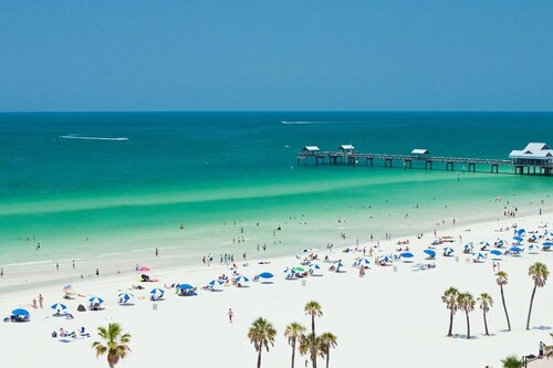 Charming Hyde Park / Palma Ceia Florida theamed perääntyä