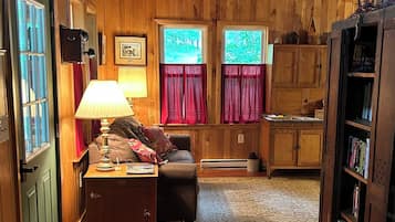 Smart TV, fireplace, DVD player, books