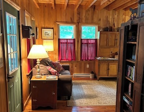Smart TV, fireplace, DVD player, books
