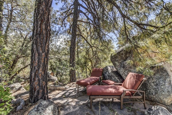 Property grounds - Downtown Cottage 3 bdrm 2 bath Newly remodeled (Prescott)