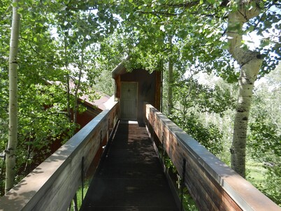 Beautiful private Telluride retreat with amazing views, new hot tub, free WIFI. 