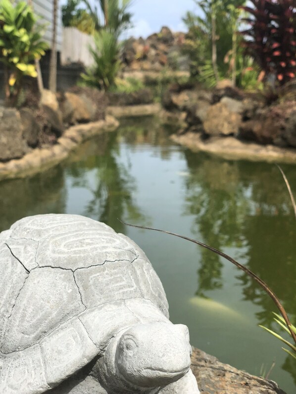 Une sculpture représentant une tortue, faite de pierre, se trouve au bord d’un étang, d’où l’on a une vue dégagée sur la végétation et les rochers environnants.