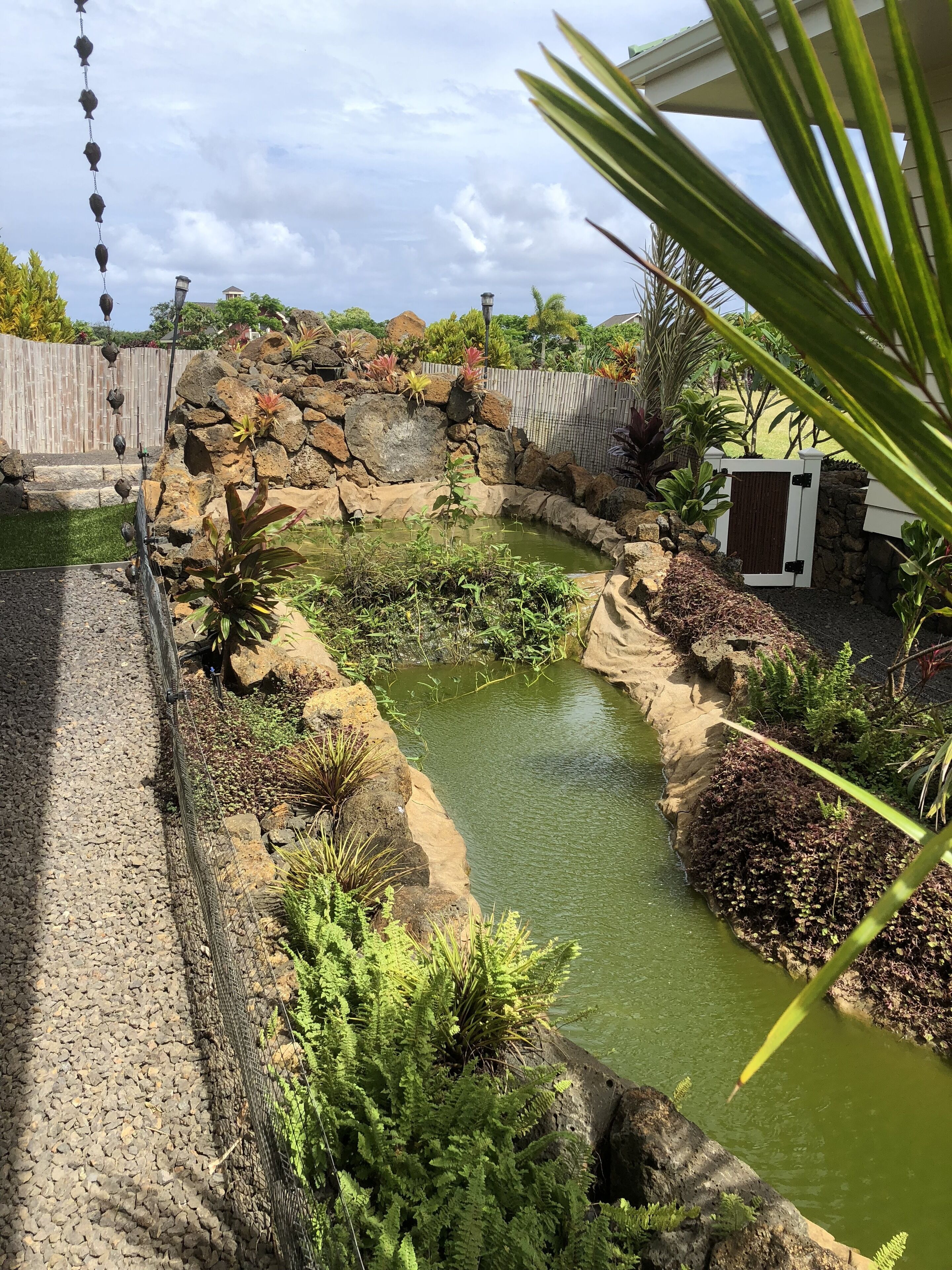 A landscaped garden with a pond, surrounded by rocks and plants, and a wooden fence in the background.