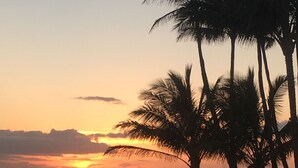Ein Sonnenuntergang über dem Meer mit palmenartigen Bäumen, die am Himmel silhouettiert sind.