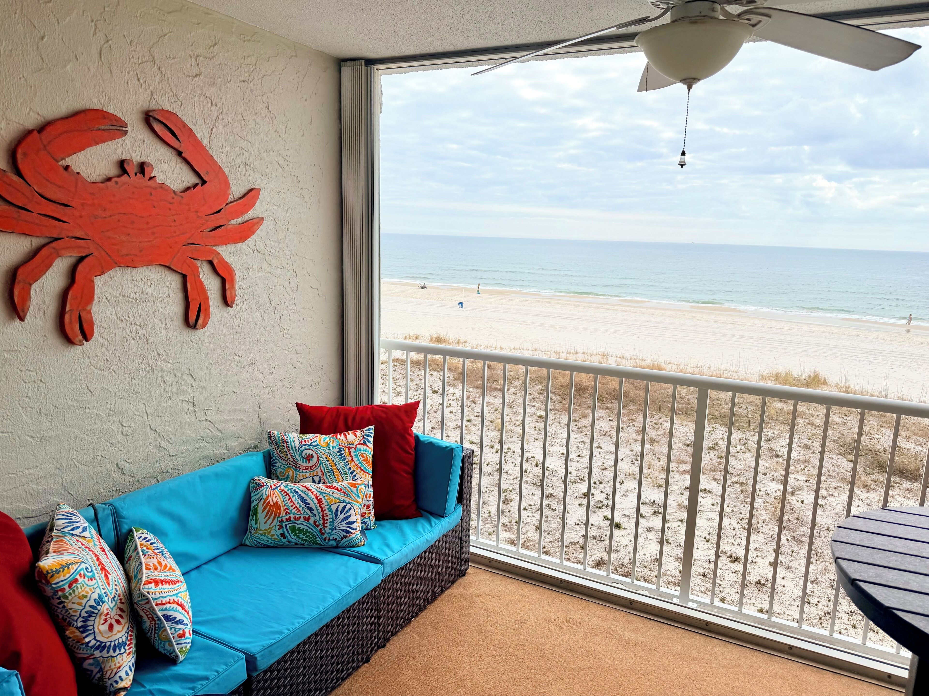 Smart TV, DVD player, books, video library