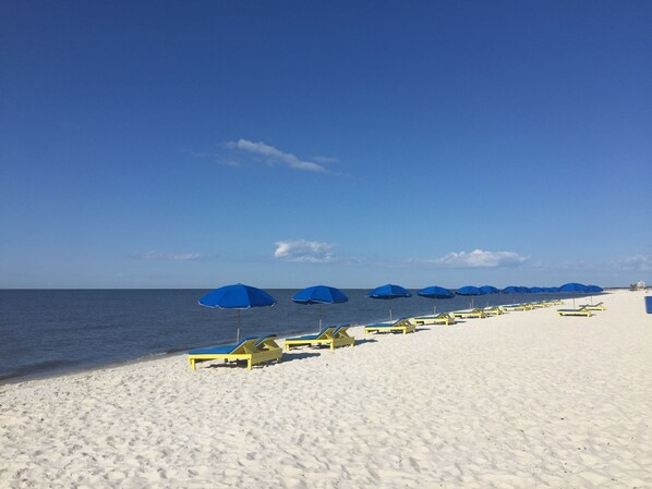 A beach with white sand and a row of yellow lounge chairs under blue umbrellas. - GULF COAST CONDO. ITS A GEM! (Biloxi)