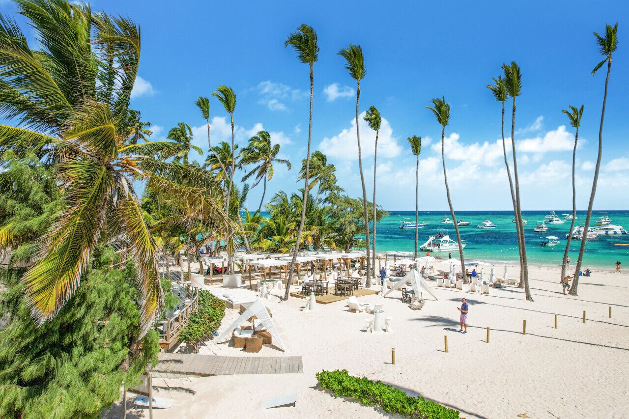 Una spiaggia con palme, un'area sabbiosa con lettini e ombrelloni, e barche sull'acqua.