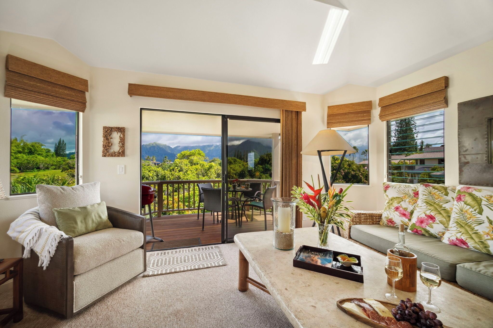 Smart TV, DVD player, books, music library