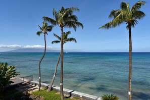On the beach, sun loungers, beach towels - KK 304 Beachfront 2BD Unobstructed Ocean Views (Lahaina)