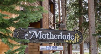 Large condo that is comfy, close to ski lift, downtown, with ample parking.