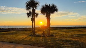 A sunset view with palm trees and a grassy area.