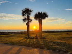 A sunset view with palm trees and a grassy area.