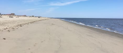 靠近海滩、沙滩椅