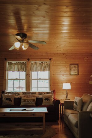 تلفزيون ذكي، مدفأة