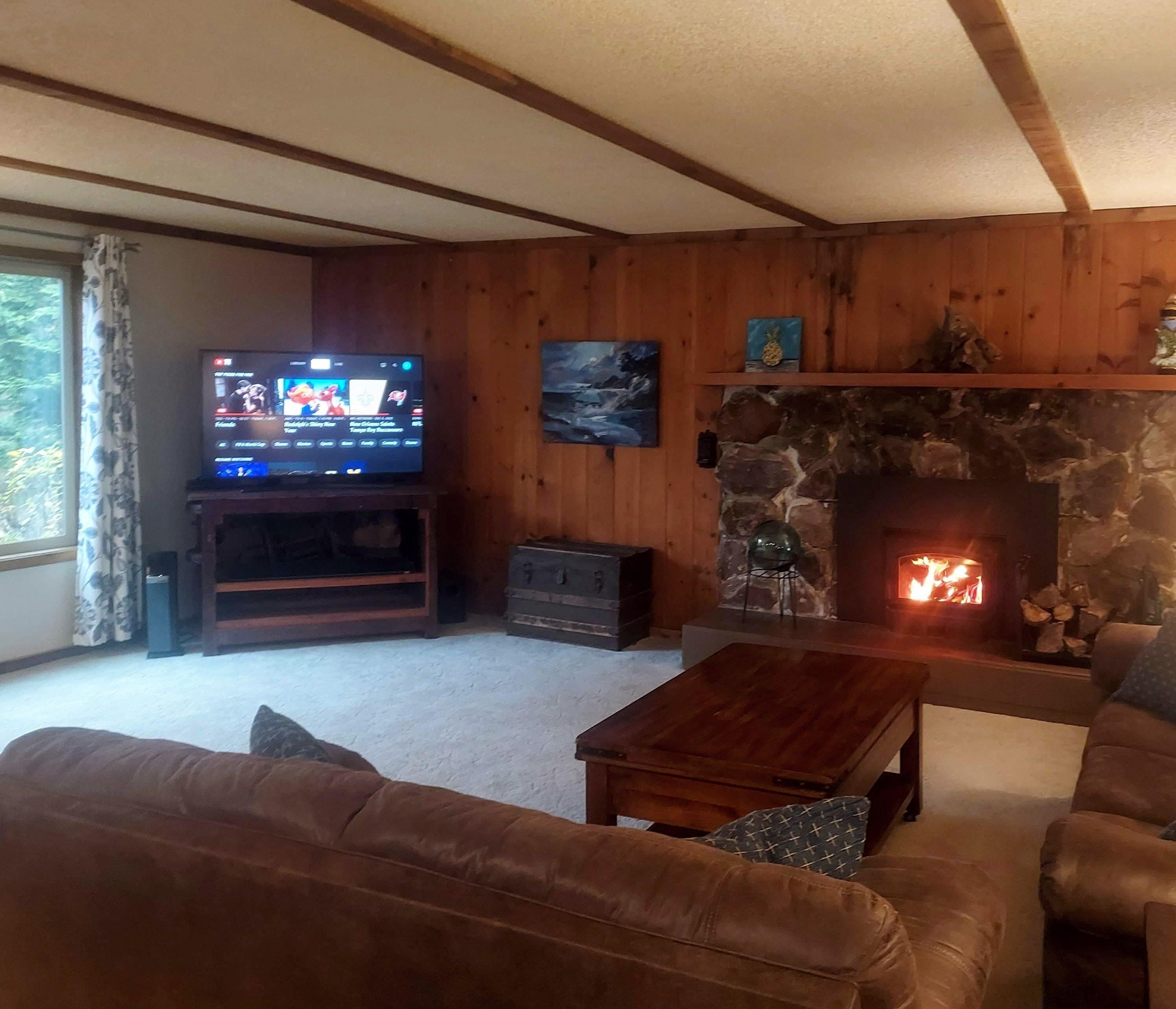 Smart TV, fireplace, DVD player, video library
