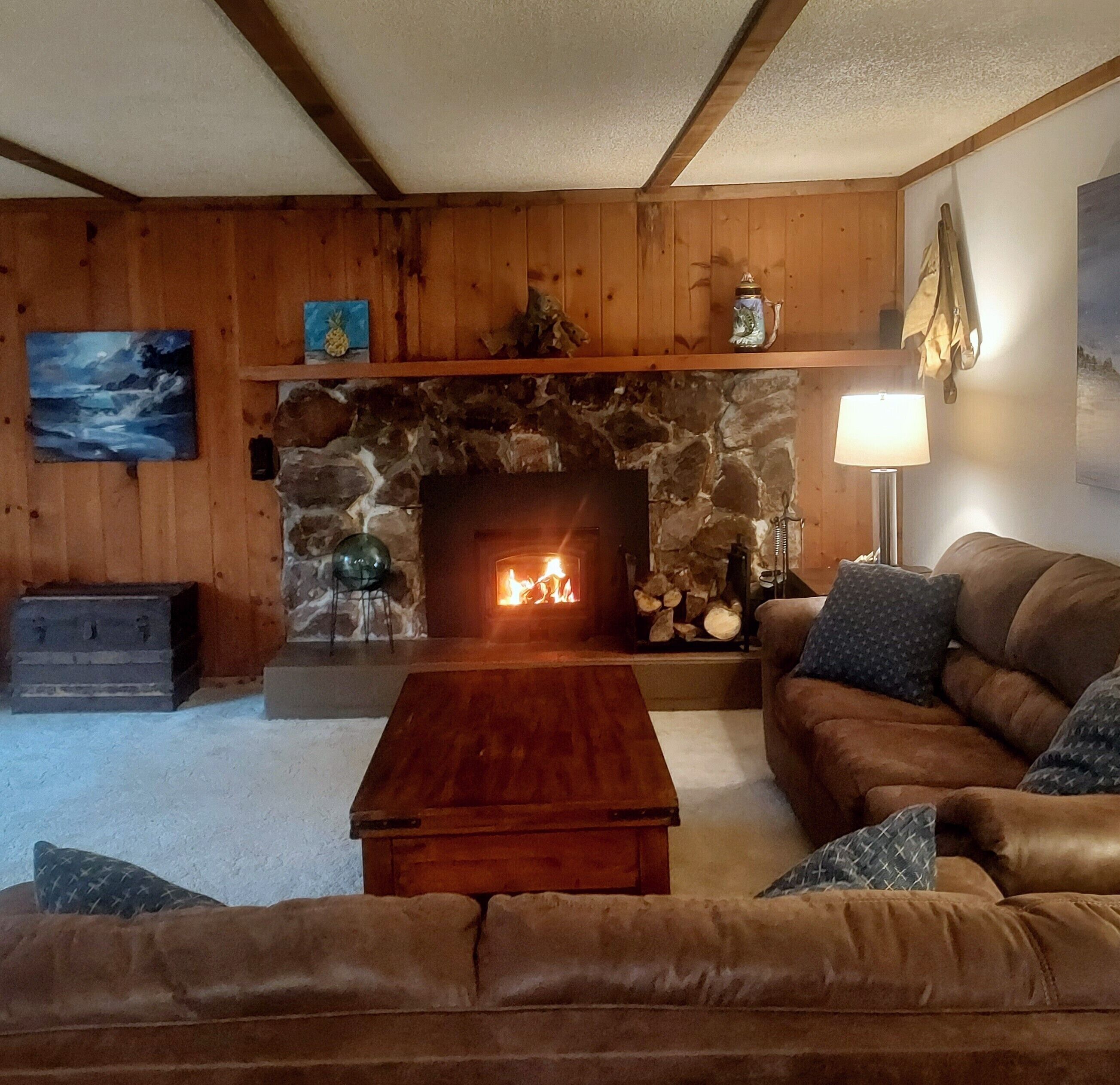 智能电视、壁炉、DVD 播放器、影片库