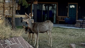 Overnatningsstedets område