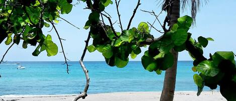 Beach nearby, sun loungers, beach towels