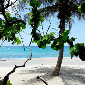 Een strand met een palmboom en helderblauw water.