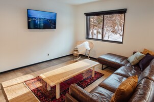 32 インチの薄型テレビ (デジタル放送視聴可)、テレビ、Netflix