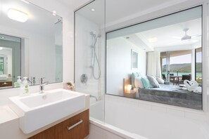 Combined shower/bathtub, free toiletries, hair dryer, towels