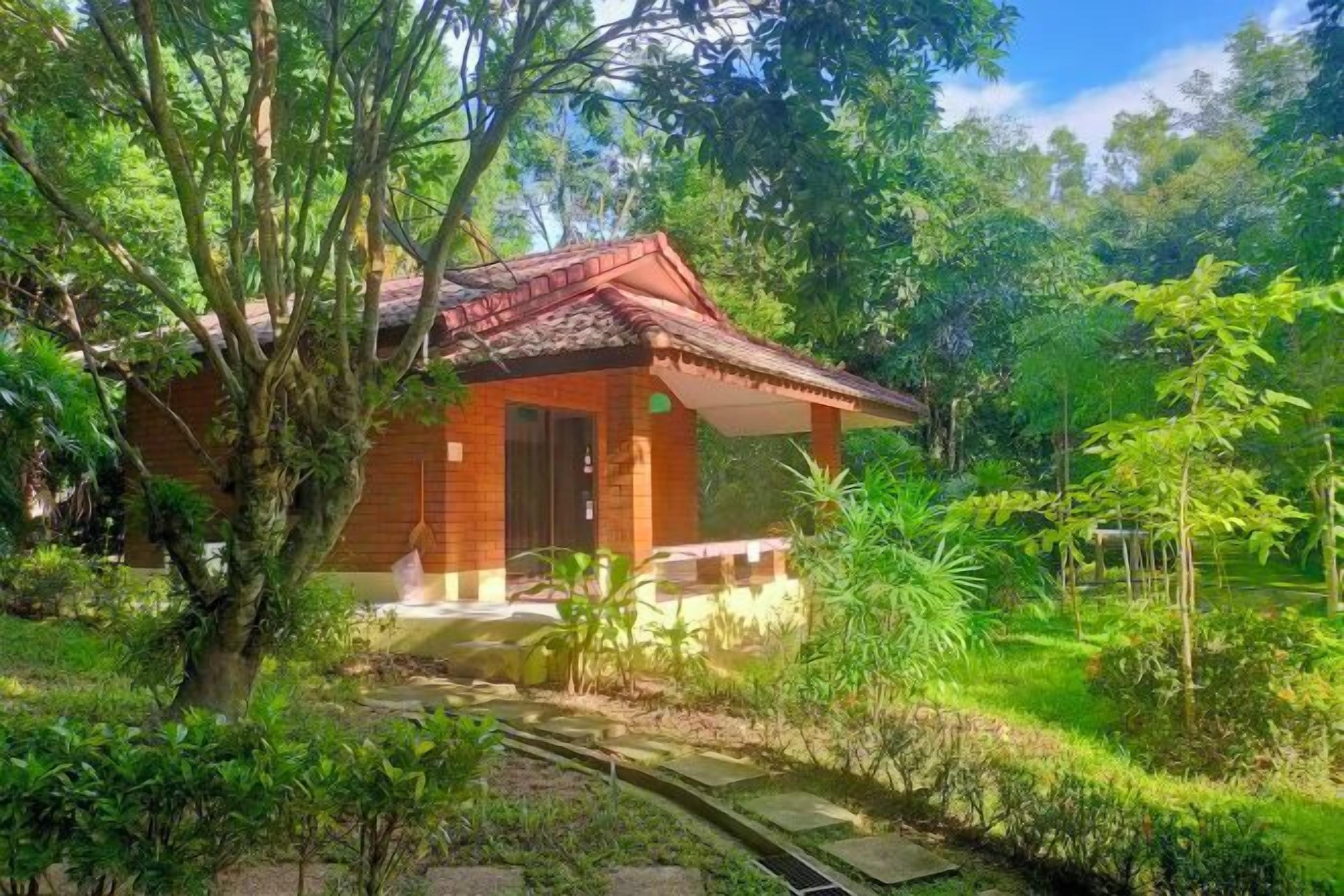 1 bilik tidur, gebar bulu kapas, dihias secara berasingan 