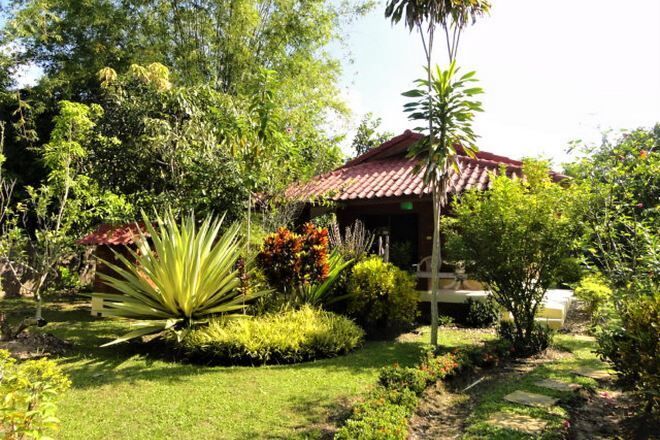 1 室のベッドルーム、羽毛の掛け布団、客室ごとに異なる装飾、遮光カーテン