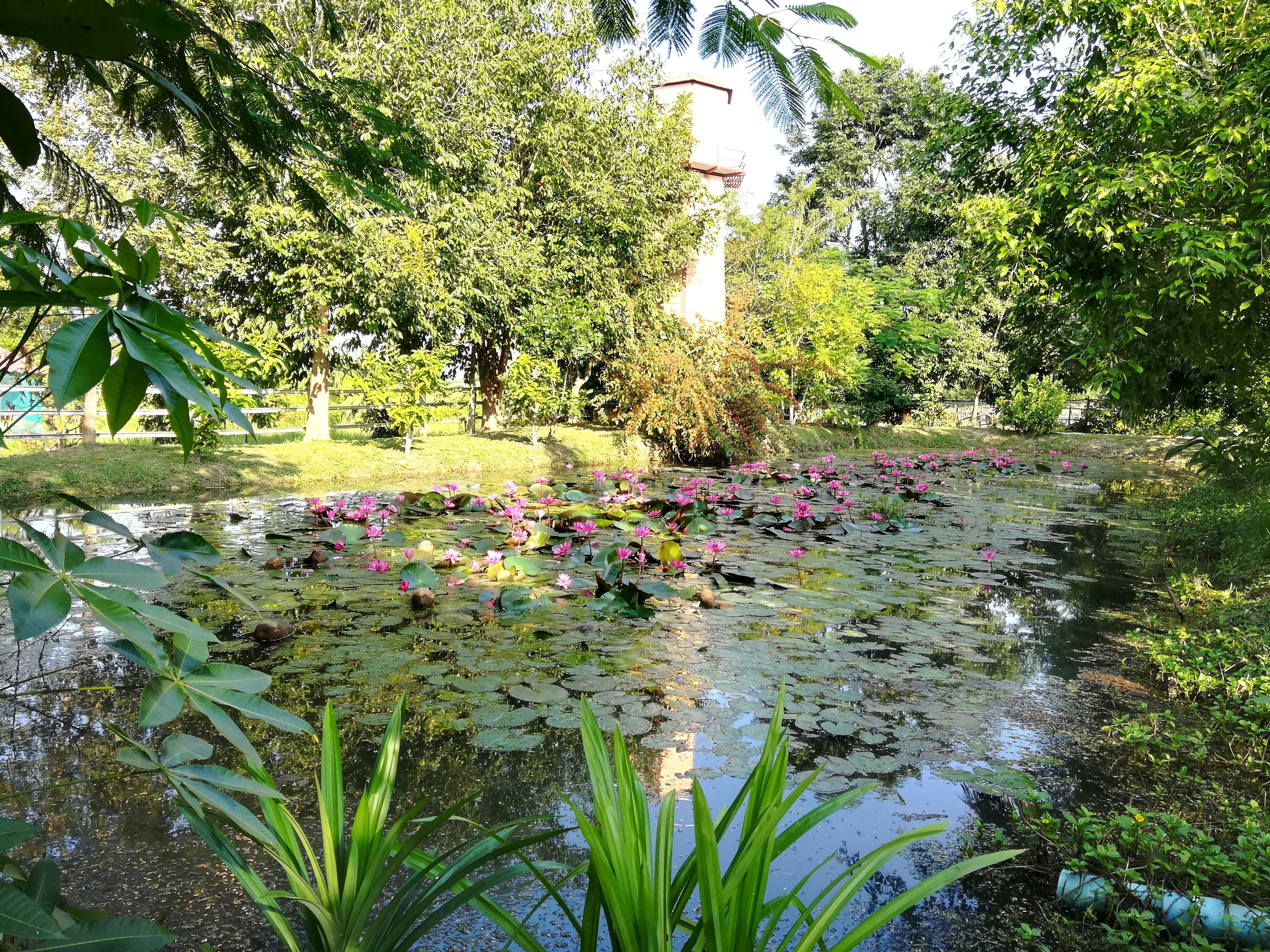 المنطقة المحيطة بالمنشأة