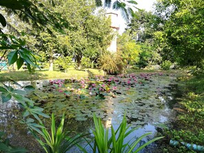 Overnattingsstedets uteområder