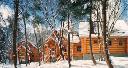 Aqua Alpine Cottage