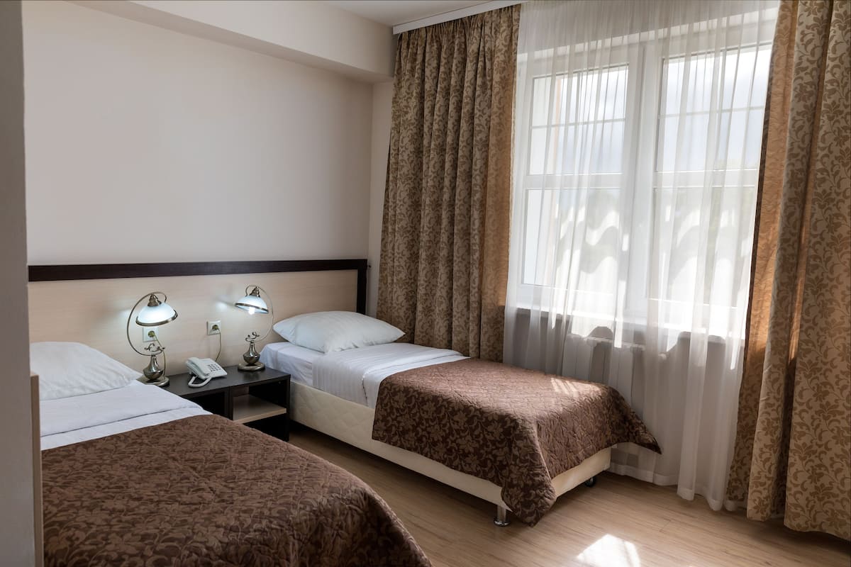 Standard Double or Twin Room | Desk, iron/ironing board, rollaway beds, free WiFi