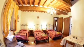 Classic Triple Room | Individually furnished, desk, soundproofing, free WiFi