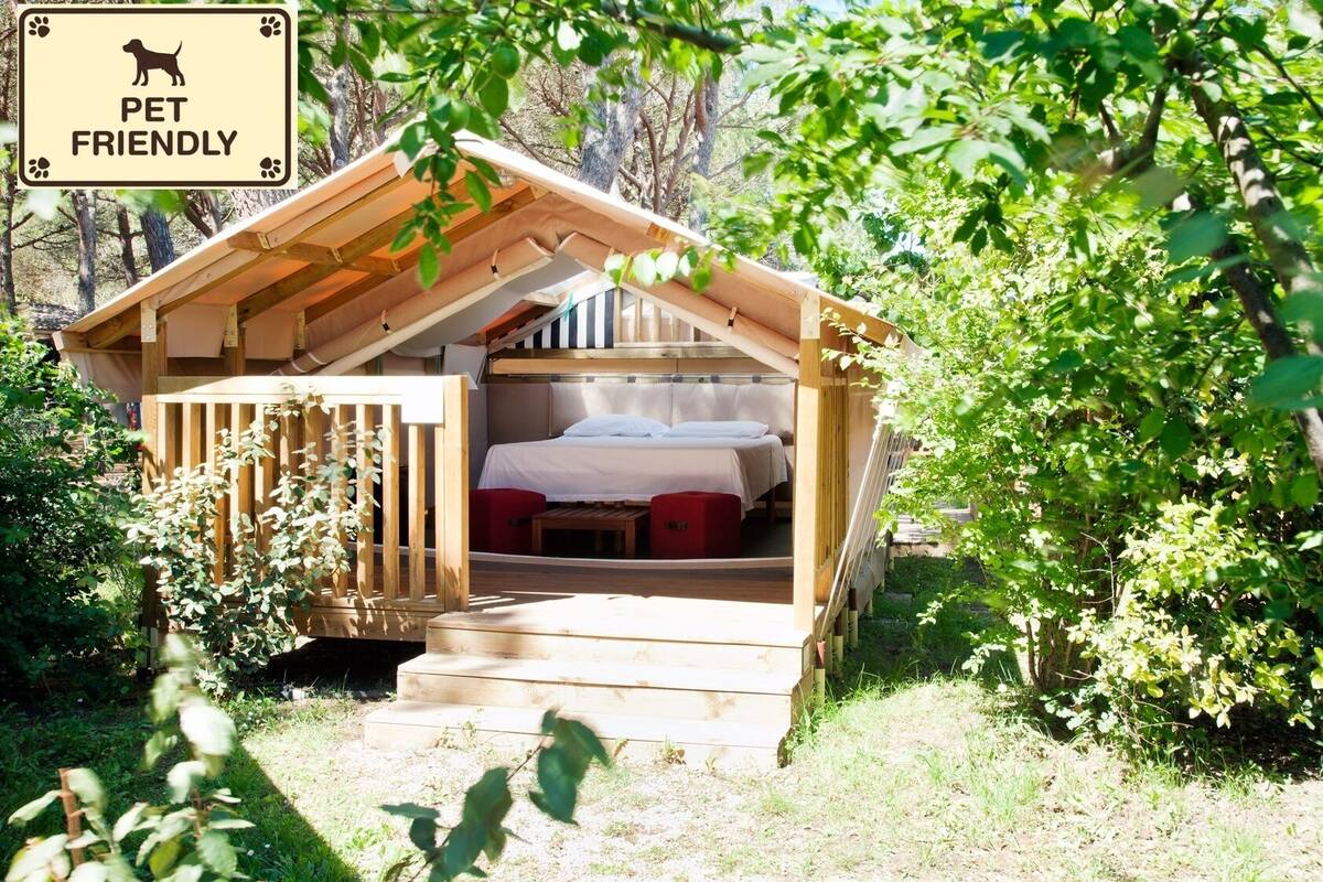 A pet-friendly cabin with a bed, a small table, and a bench.