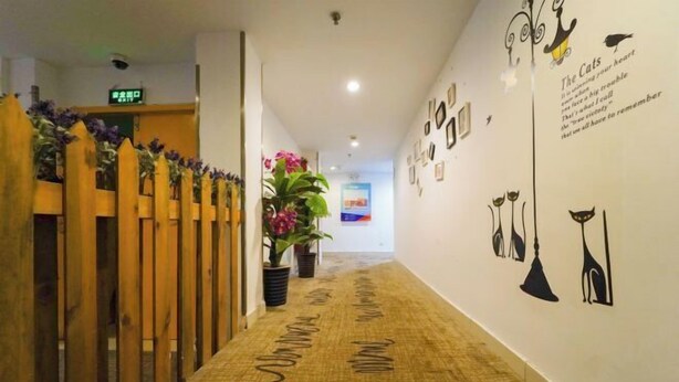 A hotel hallway with a patterned carpet, wooden partitions, potted plants, and wall art featuring cats. - 99 Inn (Shanghai Railway Station No.1 branch) (Shanghai)
