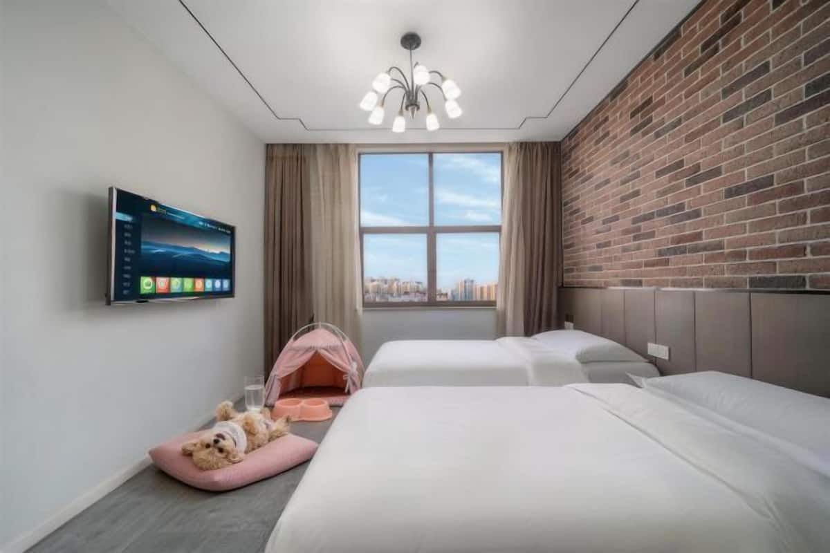 A hotel room with a large window, a television, a dog bed, and two beds.