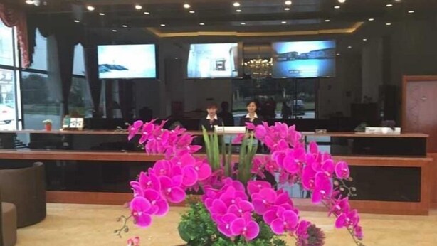 A reception area with a wooden reception desk, multiple screens, and a large potted orchid plant. - Greentree Inn Chengdu Chongzhou Shiji Avenue Longt (Chengdu)