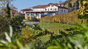 Una casa grande de dos pisos con fachada blanca y tejado marrón, rodeada por un viñedo.